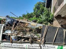 Best Basement Cleanout  in Youngtown, AZ