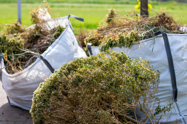 Junk Removal for Events in Youngtown, AZ